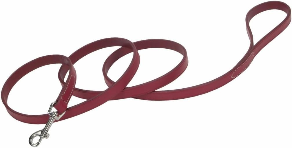 image:imageCoastal Pet Circle T Oak Tanned Leather Dog Leash Durable Dog Accessory Perfect for Leash Training Comfortable Tool for Puppies amp Dogs Made from FullGrain Leather Red 38 x 6Red