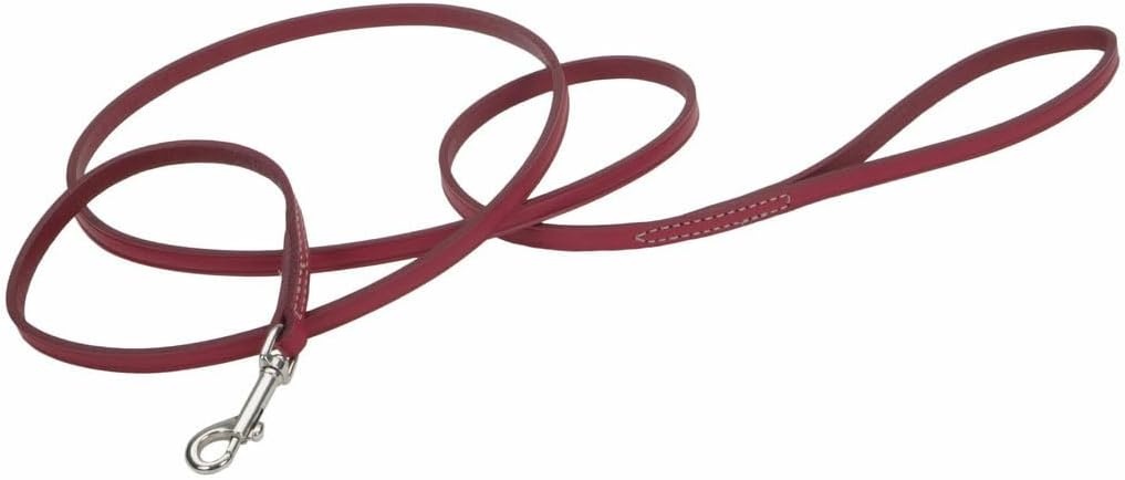 image:imageCoastal Pet Circle T Oak Tanned Leather Dog Leash Durable Dog Accessory Perfect for Leash Training Comfortable Tool for Puppies amp Dogs Made from FullGrain Leather Red 38 x 6Red