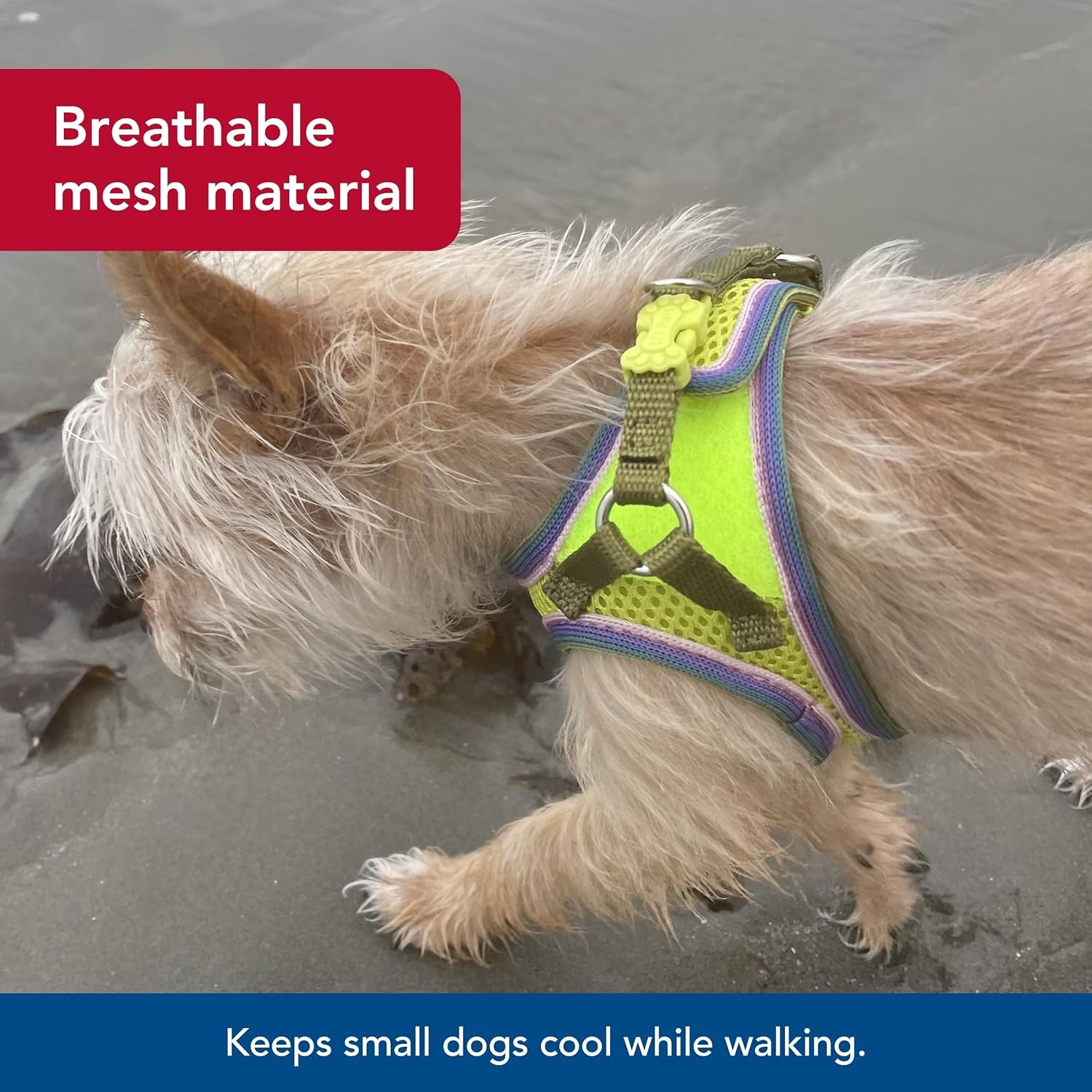 image:imageCoastal Pet Lil Pals Comfort Mesh Dog Harness NoPull Stepin Dog Harness for Small Dogs amp Puppies Dog Cooling Vest Lime 38 x 810