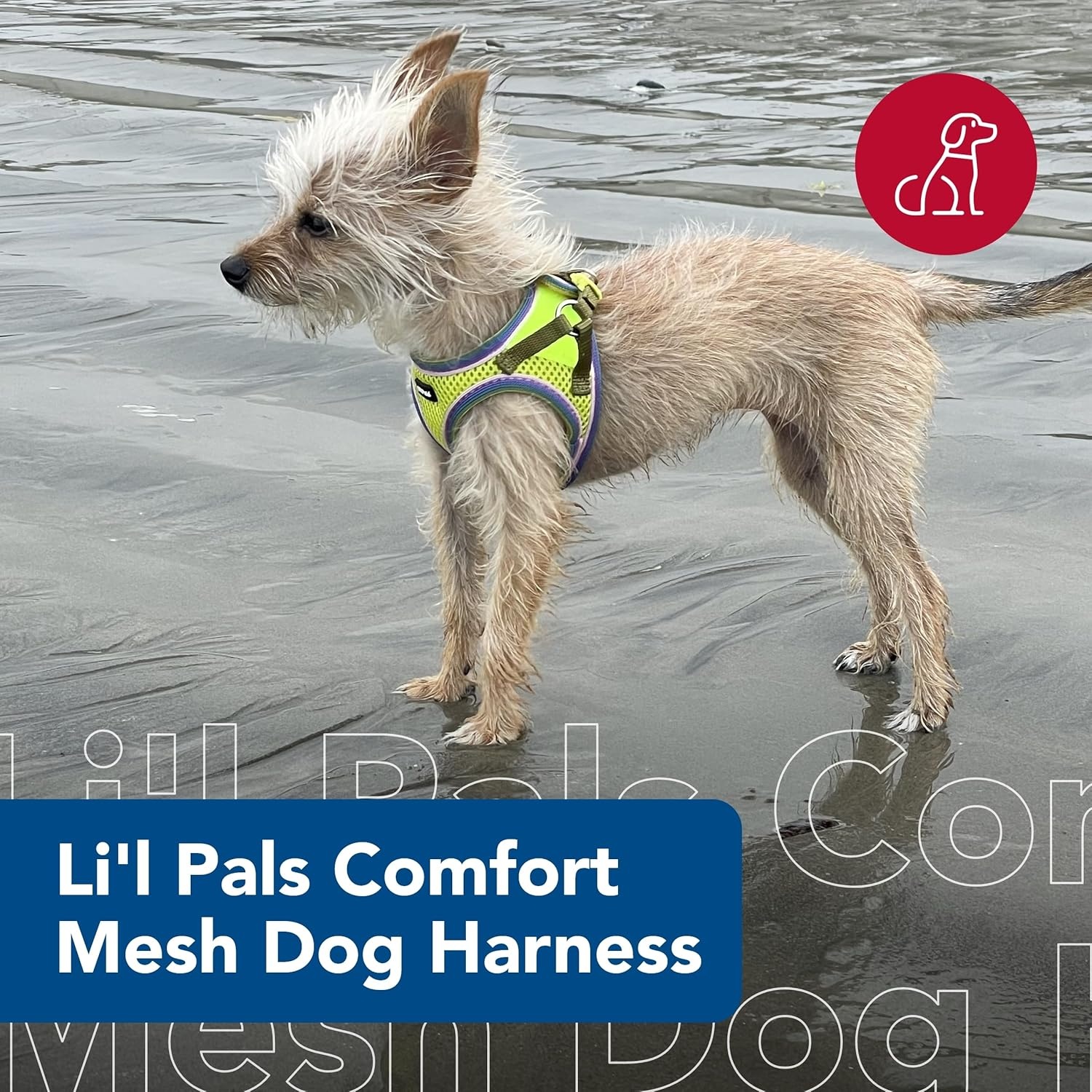 image:imageCoastal Pet Lil Pals Comfort Mesh Dog Harness NoPull Stepin Dog Harness for Small Dogs amp Puppies Dog Cooling Vest Lime 38 x 810