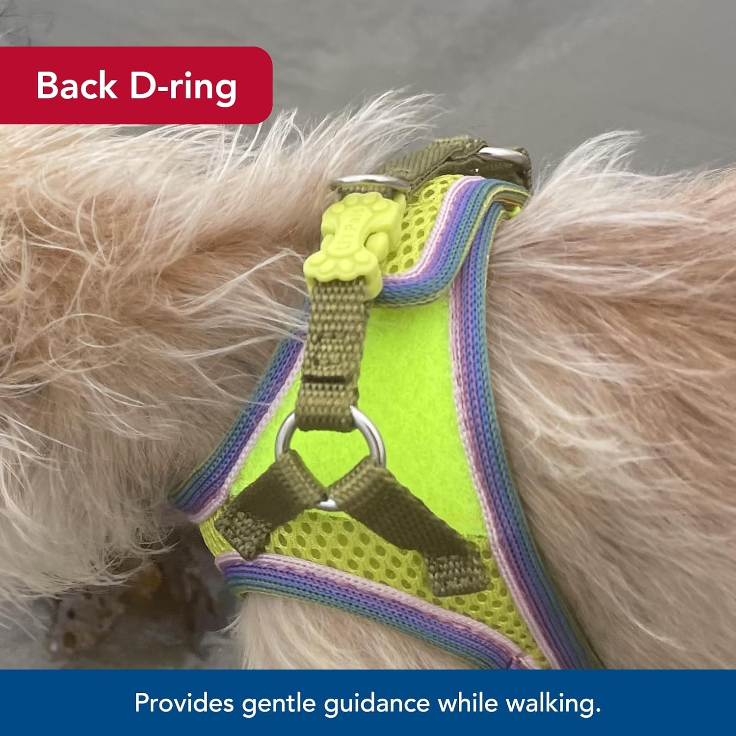 image:imageCoastal Pet Lil Pals Comfort Mesh Dog Harness NoPull Stepin Dog Harness for Small Dogs amp Puppies Dog Cooling Vest Lime 38 x 810