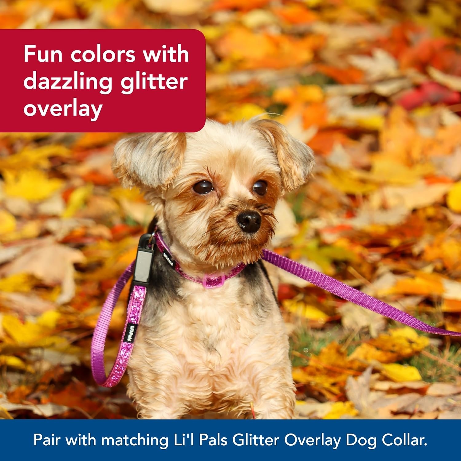 image:imageCoastal Pet Lil Pals Dog Leash with Glitter Overlay For Walking Small Pets Ensures Comfortable Stroll Lightweight Leash with OneHanded EZ Snap Orchid Sparkles 38 x6