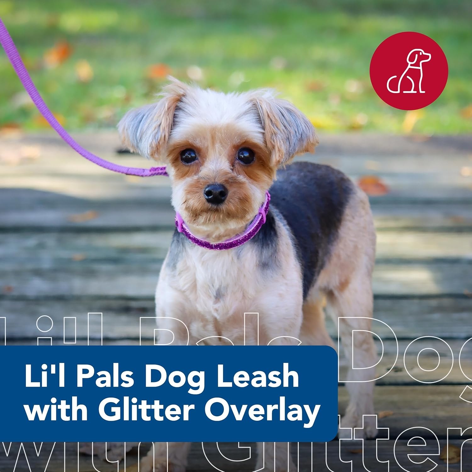 image:imageCoastal Pet Lil Pals Dog Leash with Glitter Overlay For Walking Small Pets Ensures Comfortable Stroll Lightweight Leash with OneHanded EZ Snap Orchid Sparkles 38 x6