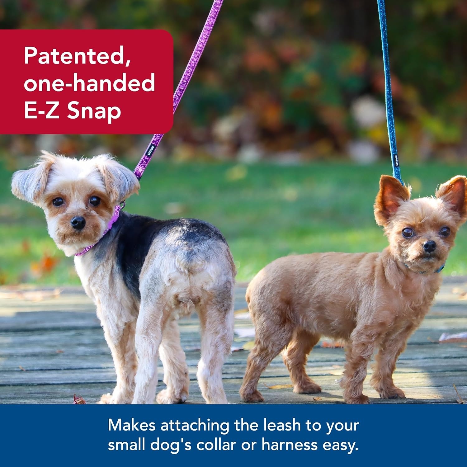 image:imageCoastal Pet Lil Pals Dog Leash with Glitter Overlay For Walking Small Pets Ensures Comfortable Stroll Lightweight Leash with OneHanded EZ Snap Orchid Sparkles 38 x6