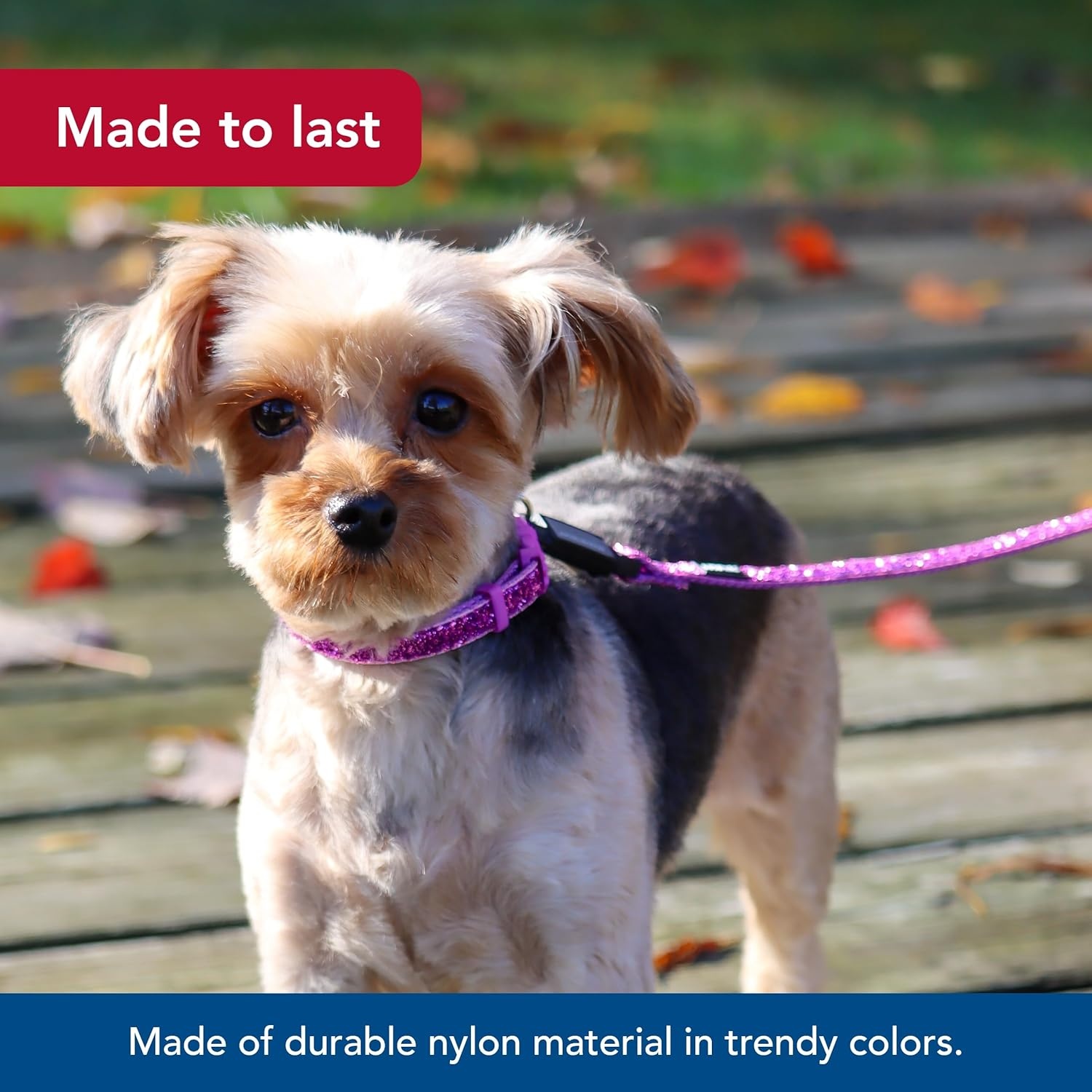 image:imageCoastal Pet Lil Pals Dog Leash with Glitter Overlay For Walking Small Pets Ensures Comfortable Stroll Lightweight Leash with OneHanded EZ Snap Orchid Sparkles 38 x6
