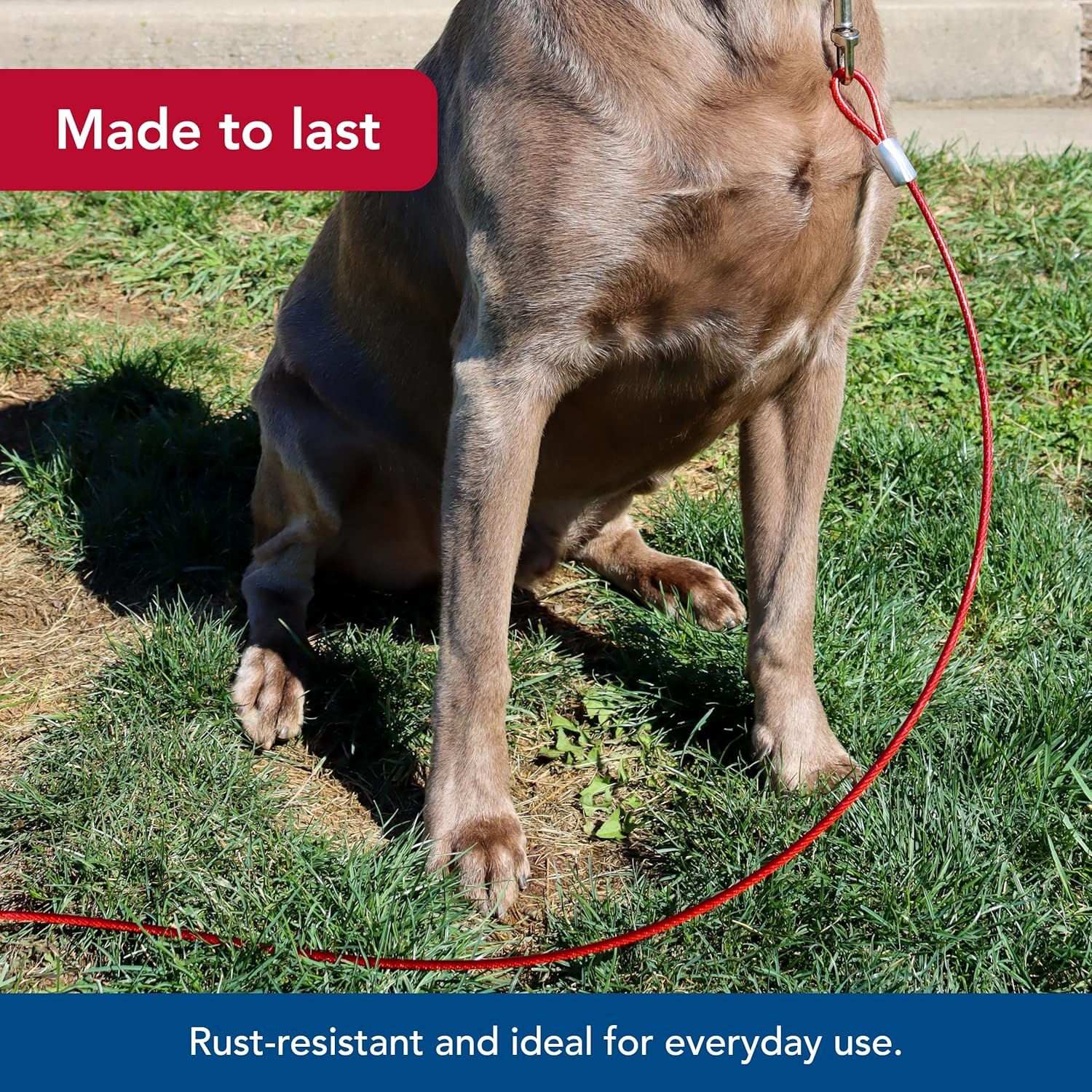 image:imageCoastal Pet Titan Heavy Cable Dog Tie Out HeavyDuty Dog Tie Out Cable Cable Tie Out for Dogs up to 80 lbs RustResistant Pet Tie Out Cable Quality Dog Supplies 1520 Pack of 1