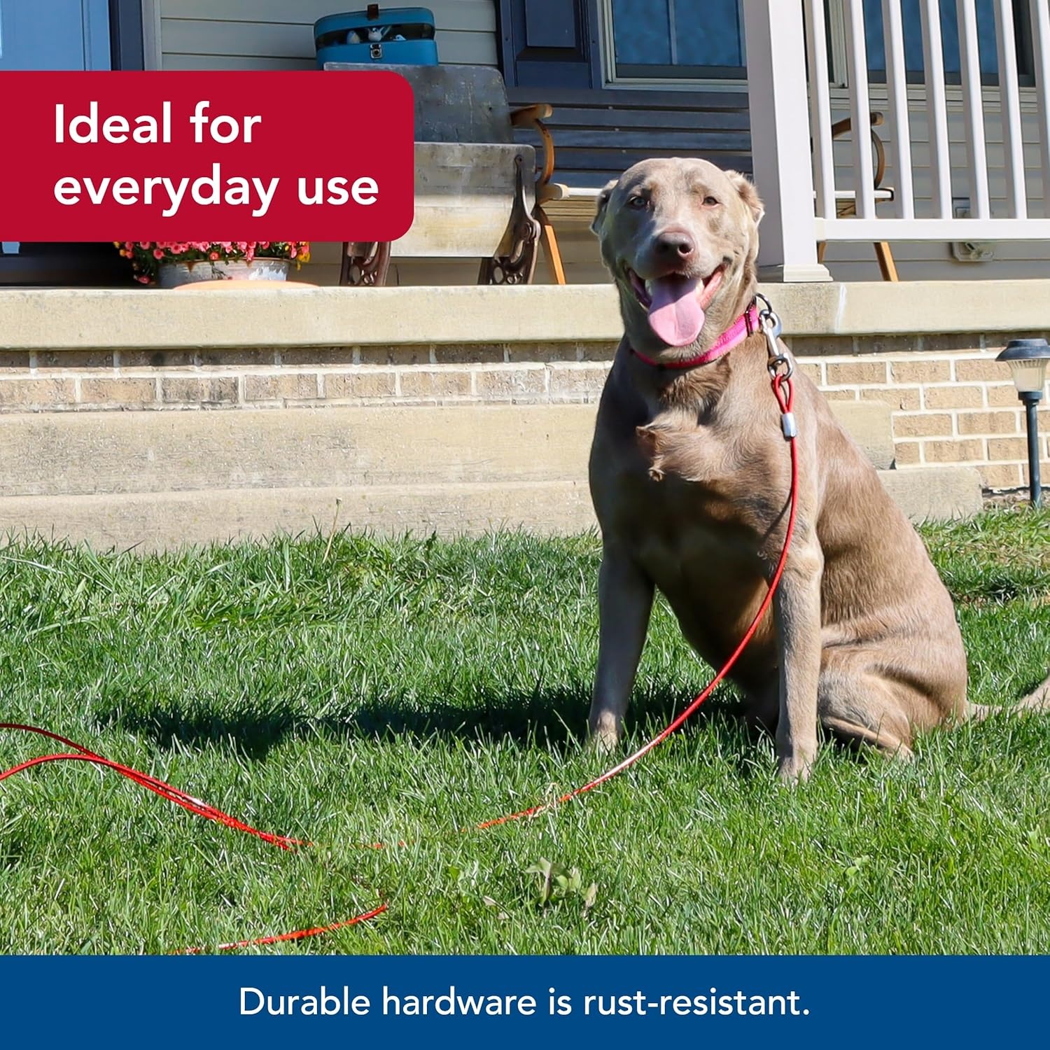image:imageCoastal Pet Titan Heavy Cable Dog Tie Out HeavyDuty Dog Tie Out Cable Cable Tie Out for Dogs up to 80 lbs RustResistant Pet Tie Out Cable Quality Dog Supplies 1510 Pack of 1