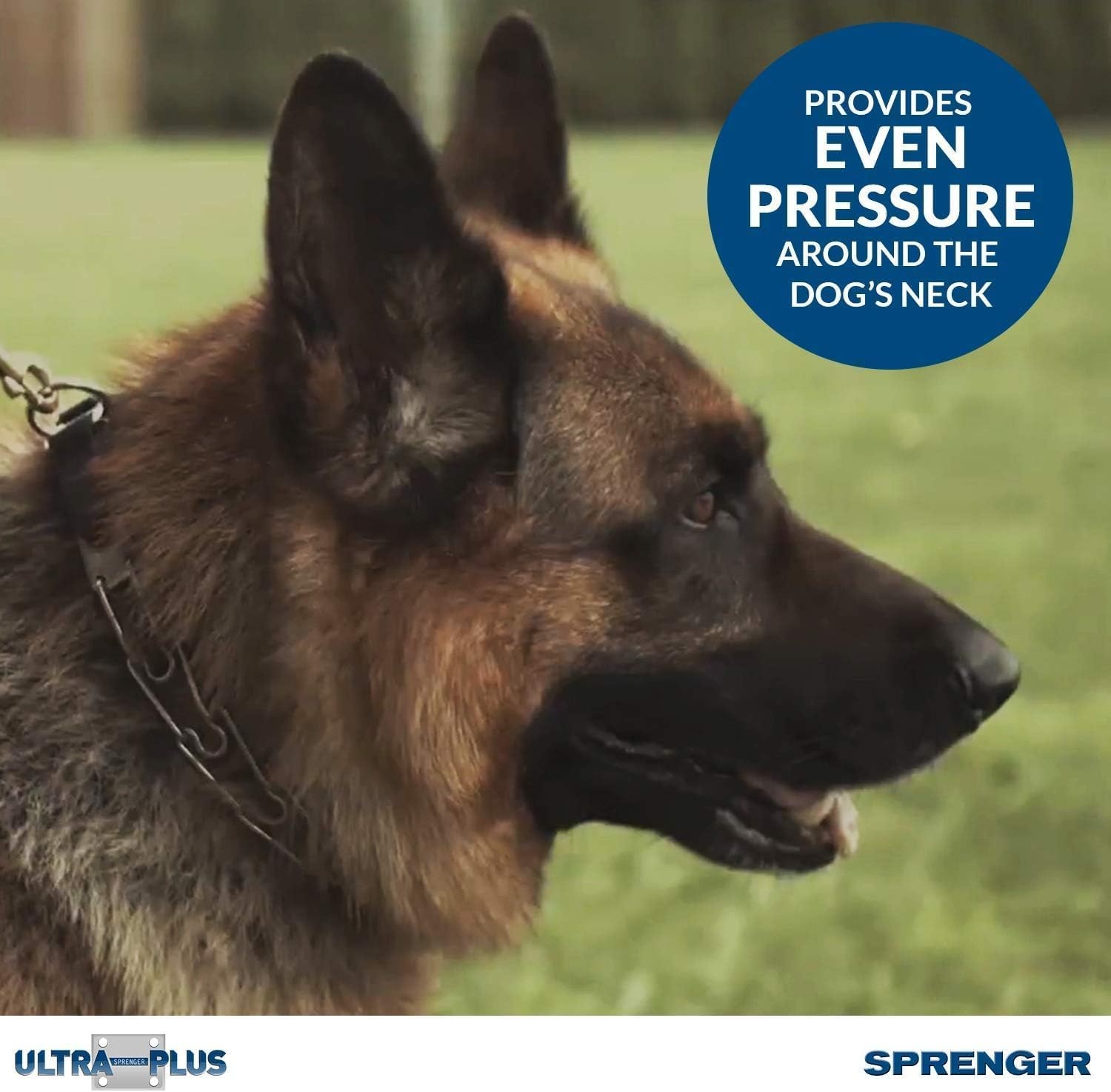 image:imageHerm Sprenger Chrome Plated Steel Training Prong Collar with Quick Release Snap for Dogs Small 225mm 16Inch Neck Size up to 1213 inchesSilver