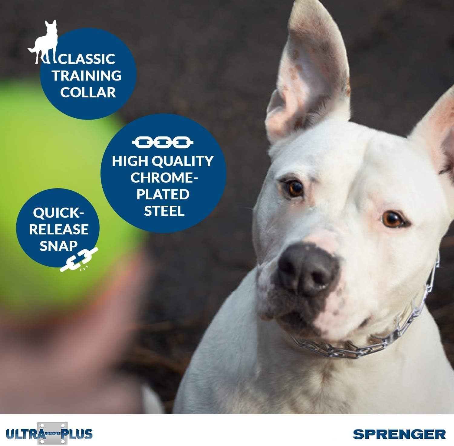 image:imageHerm Sprenger Chrome Plated Steel Training Prong Collar with Quick Release Snap for Dogs Small 225mm 16Inch Neck Size up to 1213 inchesSilver