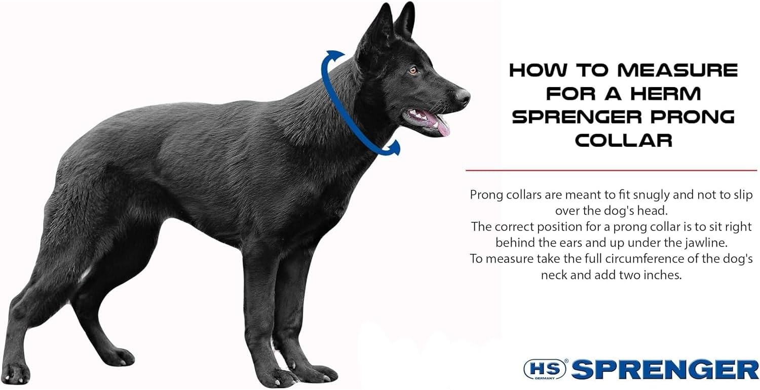 image:imageHerm Sprenger Chrome Plated Steel Training Prong Collar with Quick Release Snap for Dogs Small 225mm 16Inch Neck Size up to 1213 inchesSilver