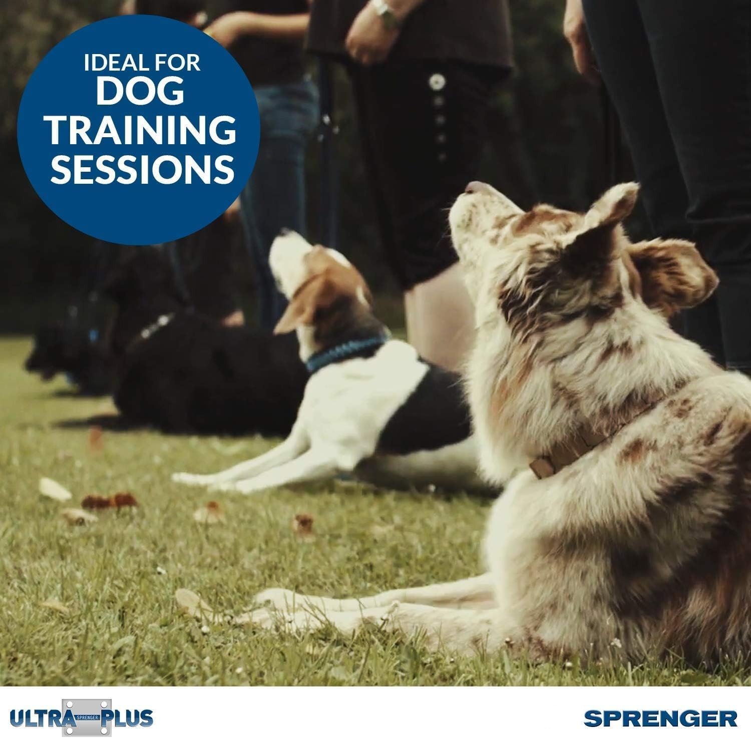 image:imageHerm Sprenger Chrome Plated Steel Training Prong Collar with Quick Release Snap for Dogs Small 225mm 16Inch Neck Size up to 1213 inchesSilver