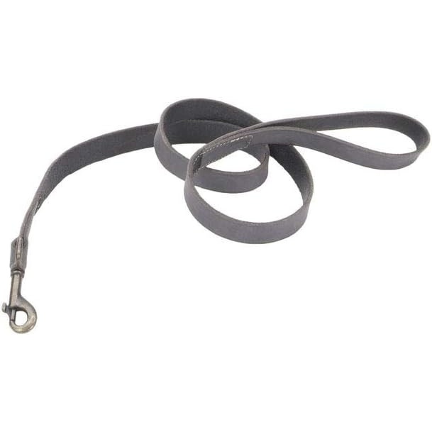image:imageCoastal Circle T Rustic Leather Town Dog Leash Chocolate Brown with Oxidized Plated Brass Hardware 38 x 6Slate Grey