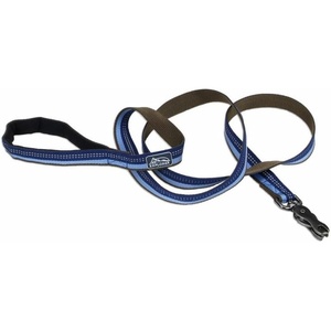 image:imageCoastal Pet K9 Explorer Reflective Dog Leash with Scissor Snap  Durable Nylon Leash  Leashes for Dogs amp Puppies  Pet Supplies for Dogs  Sapphire 58 x 6Sapphire
